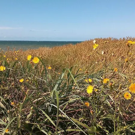7 Person In Harboore-by Traum Сasa de vacaciones Harboør